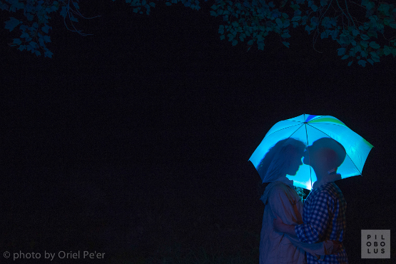 lumi illuminated umbrella pilobolus