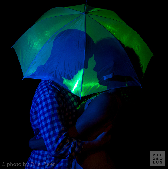 lumi illuminated umbrella pilobolus
