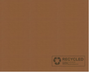 fiesta five recycled cardboard packaging